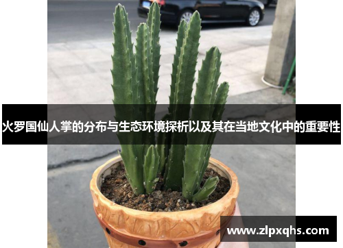 火罗国仙人掌的分布与生态环境探析以及其在当地文化中的重要性